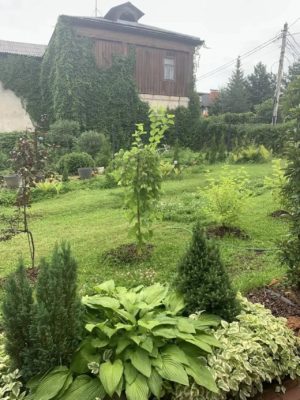 87